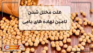 دانه سویا ریخته شده