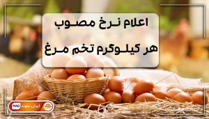 تخم مرغ داخل سبد و اطراف آن