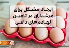 تخم مرغ در شانه قرمز رنگ