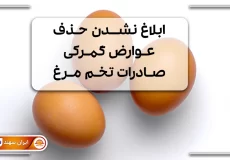 سه عدد تخم مرغ کنار هم