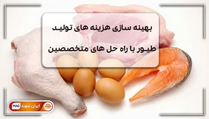 مرغ ، تخم مرغع و گوشت کنار هم