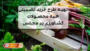 چقندر و زردک روی جعبه چوبی