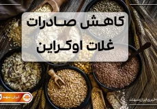 ظرف های پر از غلات جو و گندم