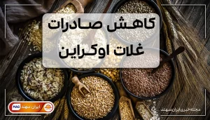 ظرف های پر از غلات جو و گندم